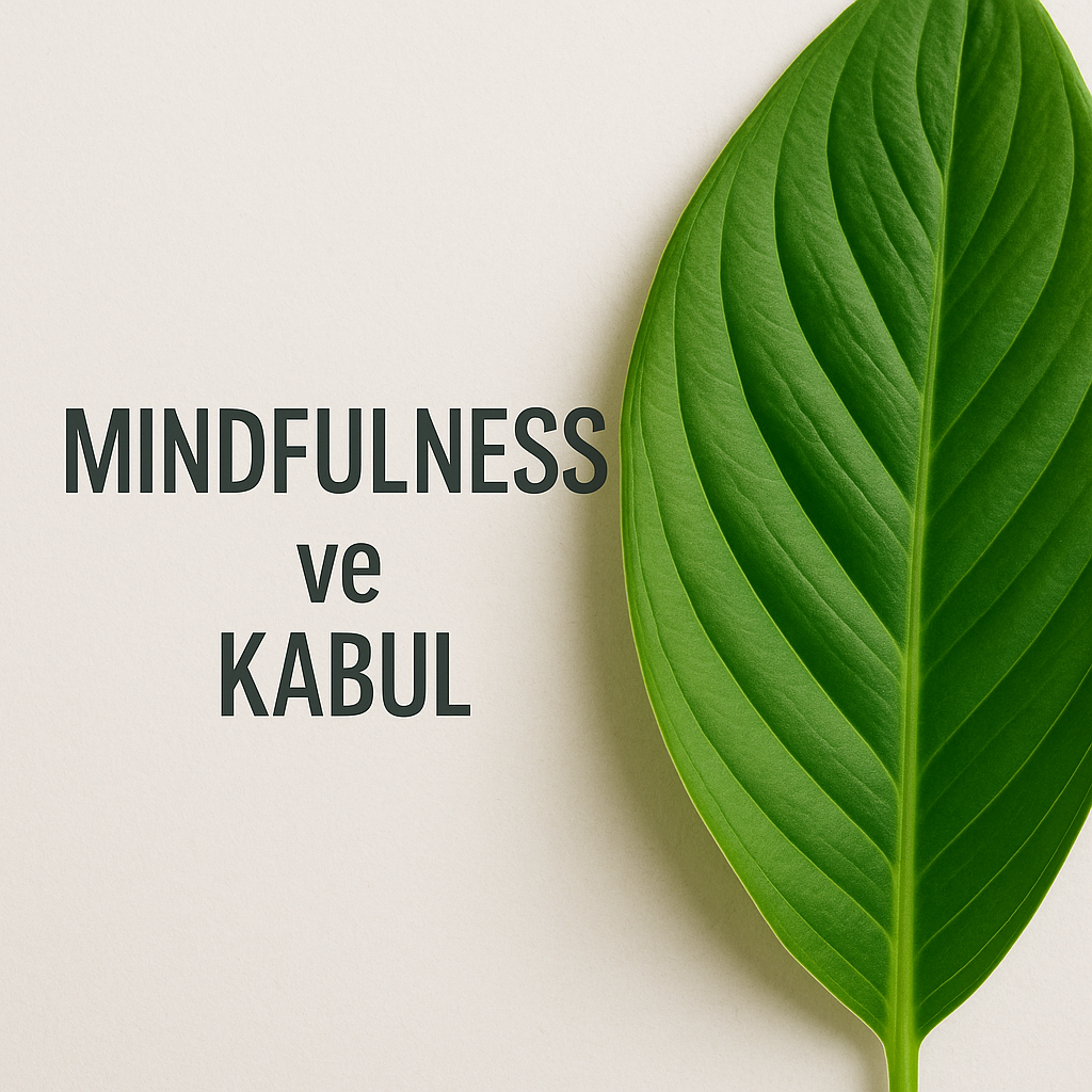 Mindfulness (Bilinçli Farkındalık) ve Kabul